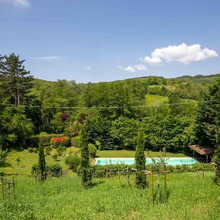 Casa Palmira - La Casina Villa Polcanto Buitenkant foto