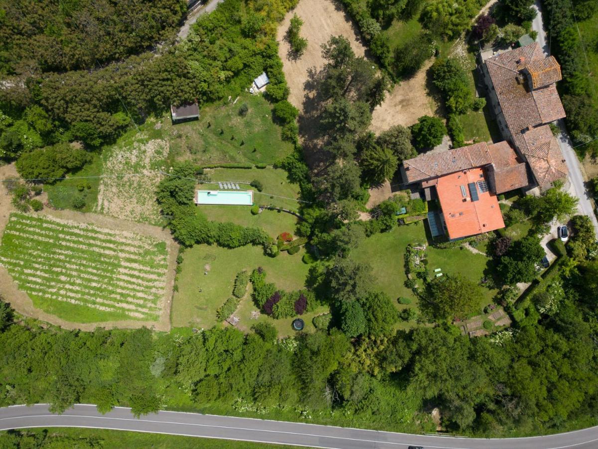 Casa Palmira - La Casina Villa Polcanto Buitenkant foto